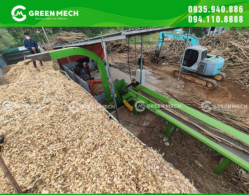 Hệ thống băng tải hỗ trợ cấp liệu cho máy băm gỗ