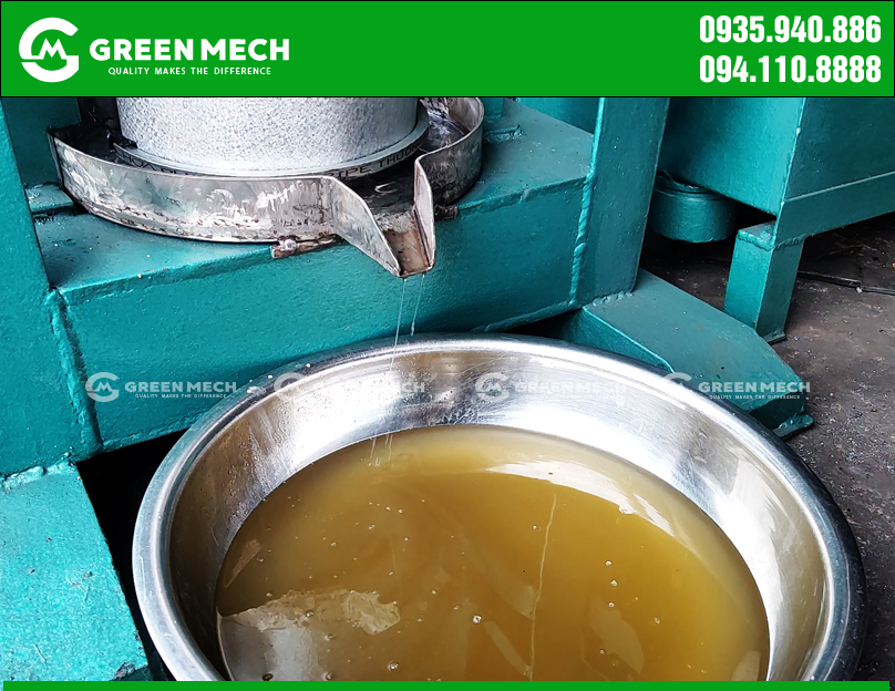 Dầu macca thành phẩm 