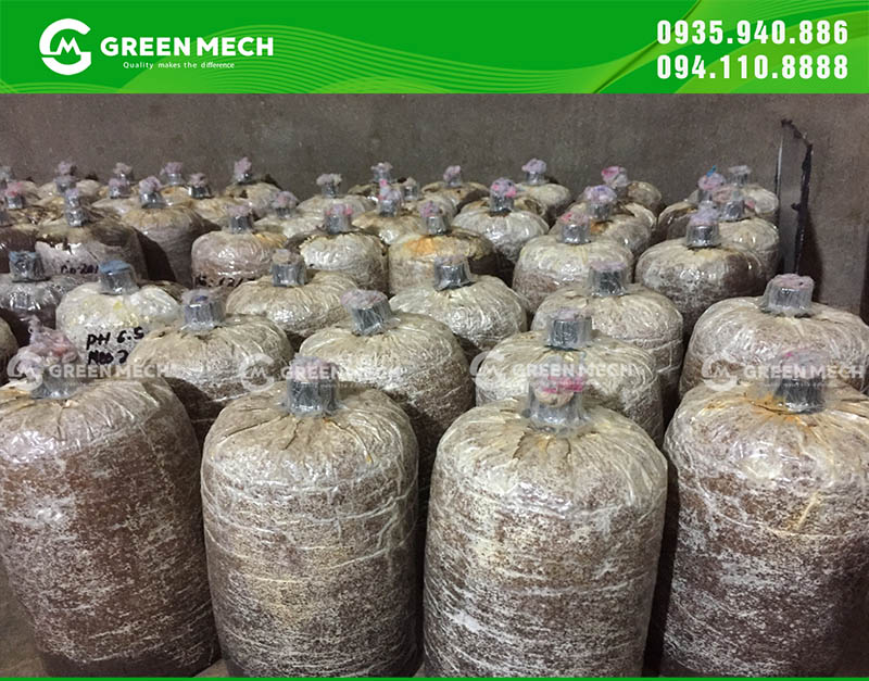 Bịch phôi nấm được bó tuỳ kích thước