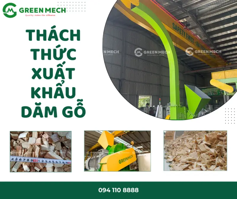 Thách thức xuất khẩu dăm gỗ